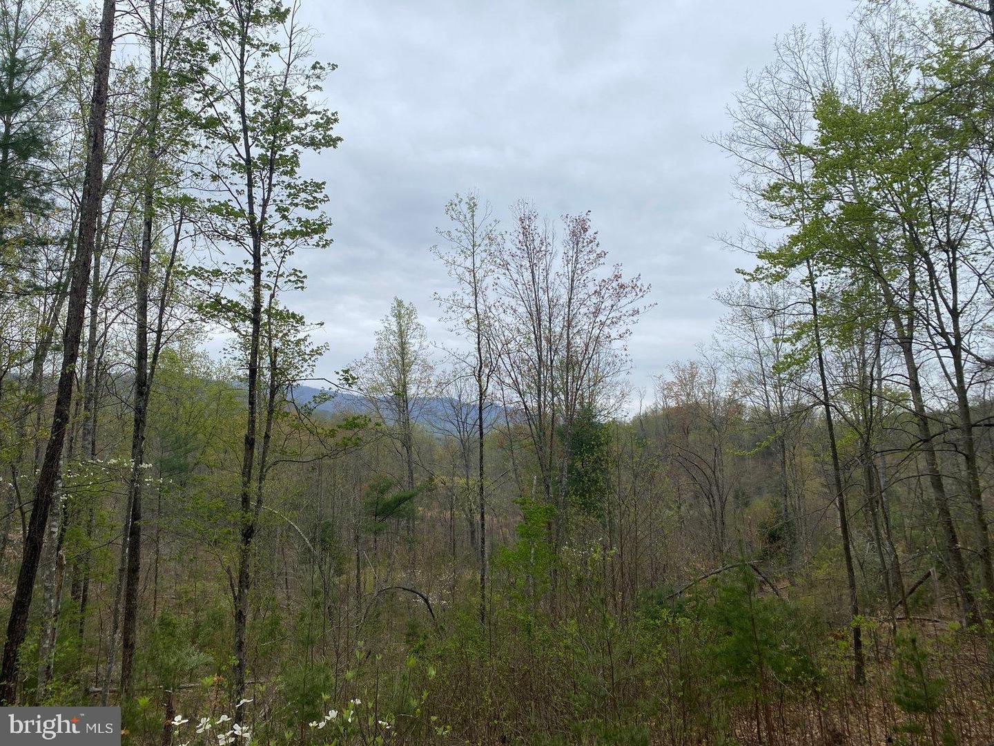 0 KERSEY RD, AMHERST, Virginia 24521, ,Land,For sale,0 KERSEY RD,VAAH2000072 MLS # VAAH2000072