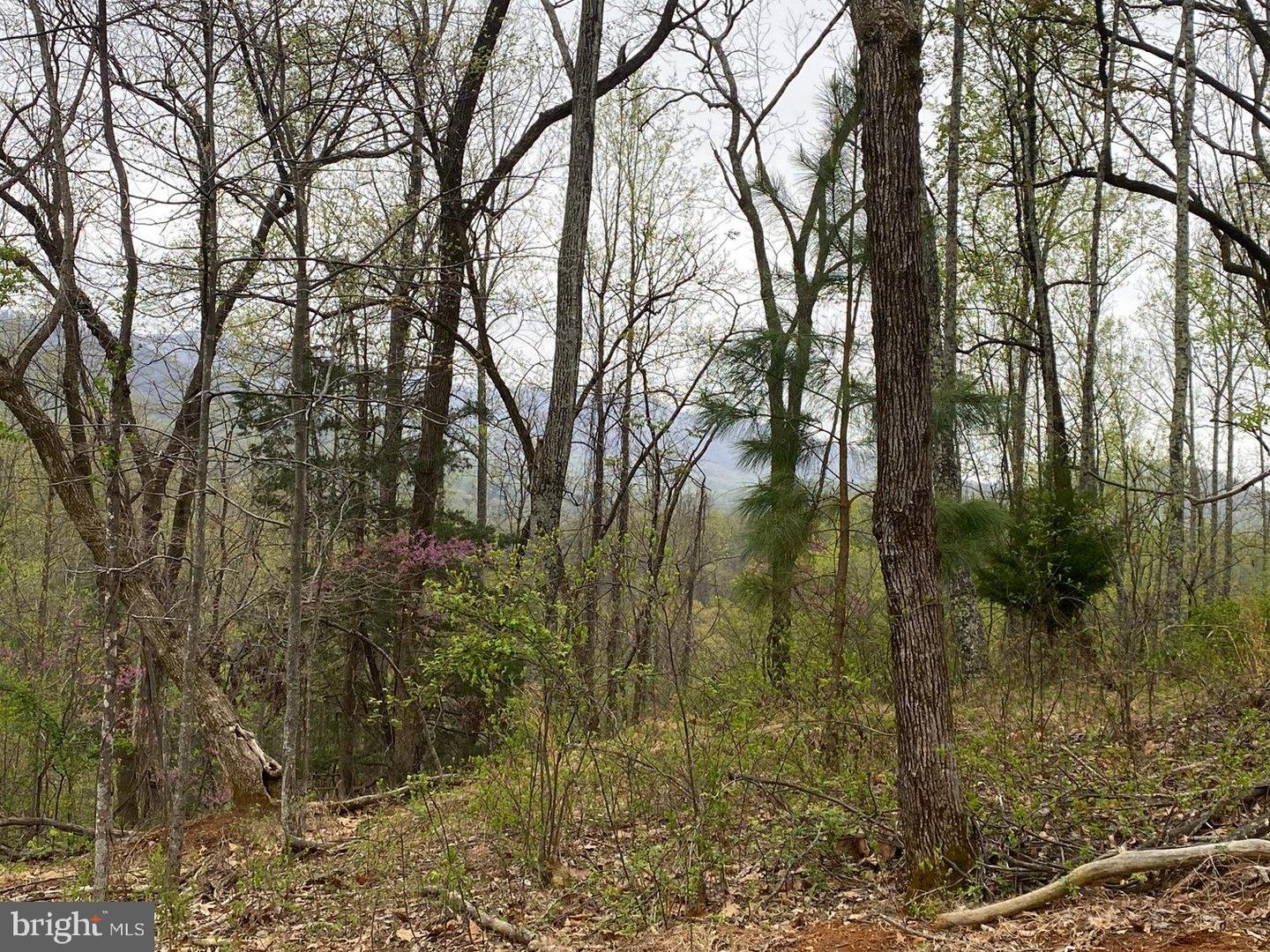 0 KERSEY RD, AMHERST, Virginia 24521, ,Land,For sale,0 KERSEY RD,VAAH2000072 MLS # VAAH2000072