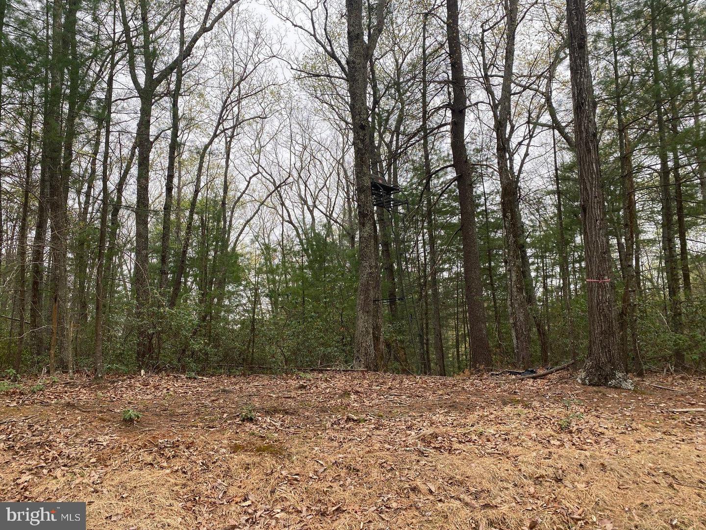 0 KERSEY RD, AMHERST, Virginia 24521, ,Land,For sale,0 KERSEY RD,VAAH2000072 MLS # VAAH2000072