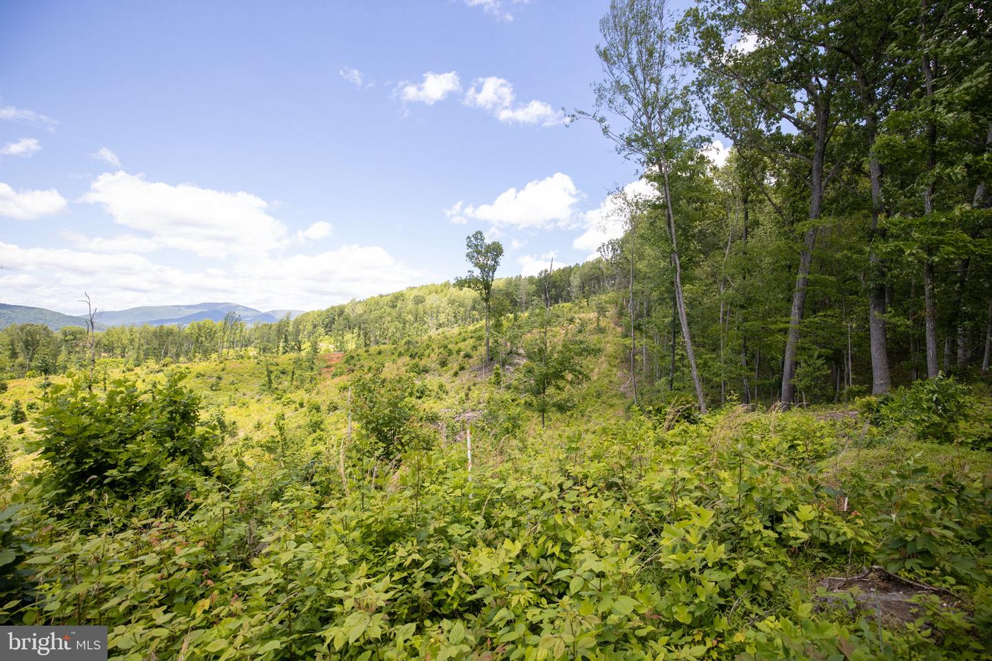 0 KERSEY RD, AMHERST, Virginia 24521, ,Land,For sale,0 KERSEY RD,VAAH2000072 MLS # VAAH2000072