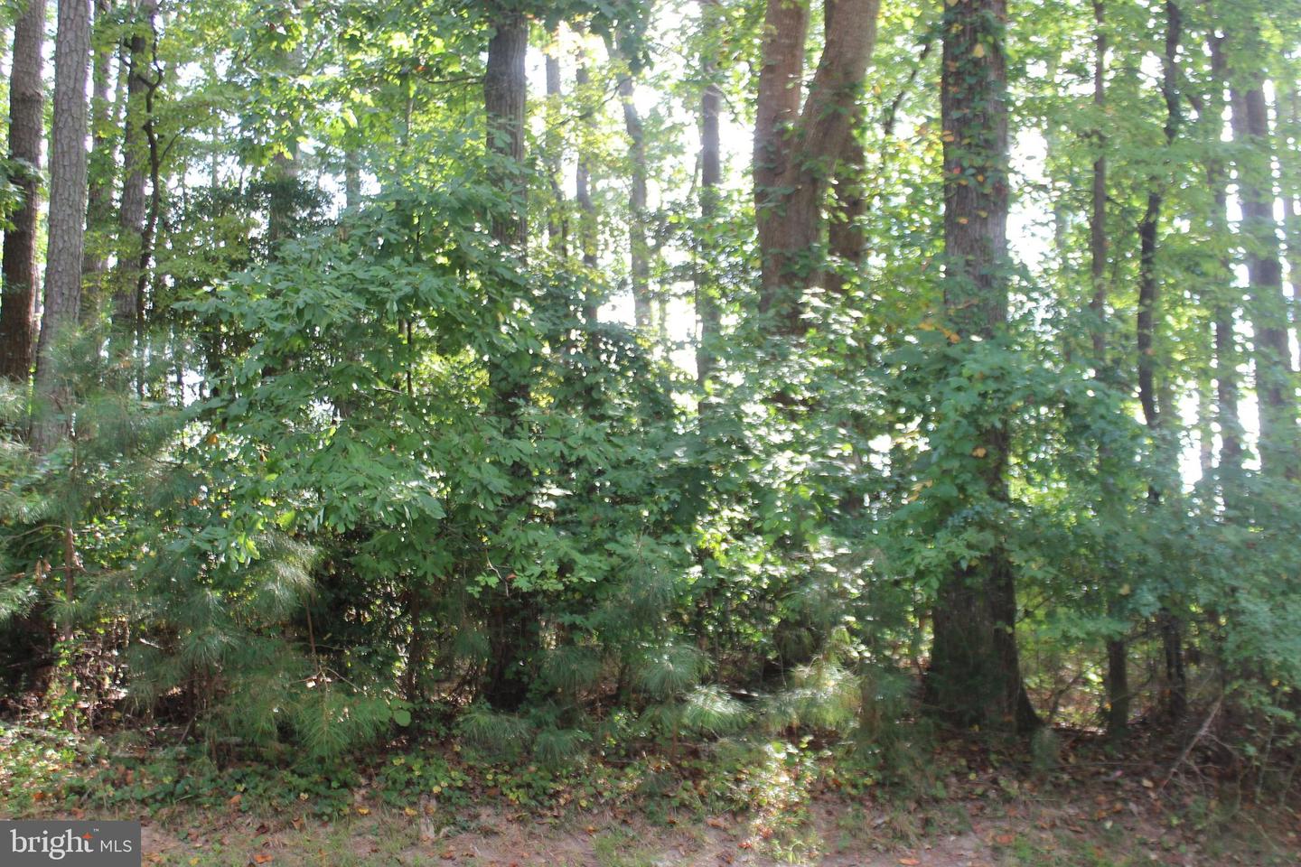 146 CAPTAINS CORR, GREENBACKVILLE, Virginia 23356, ,Land,For sale,146 CAPTAINS CORR,VAAC2001902 MLS # VAAC2001902