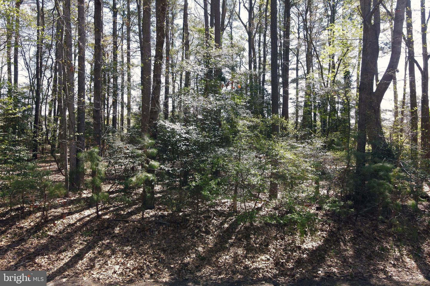146 CAPTAINS CORR, GREENBACKVILLE, Virginia 23356, ,Land,For sale,146 CAPTAINS CORR,VAAC2001902 MLS # VAAC2001902