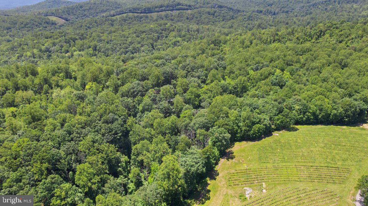 3932 HIDDEN VALLEY LANE, LINDEN, Virginia 22642, 2 Bedrooms Bedrooms, ,1 BathroomBathrooms,Residential,For sale,3932 HIDDEN VALLEY LANE,VAFQ2016788 MLS # VAFQ2016788