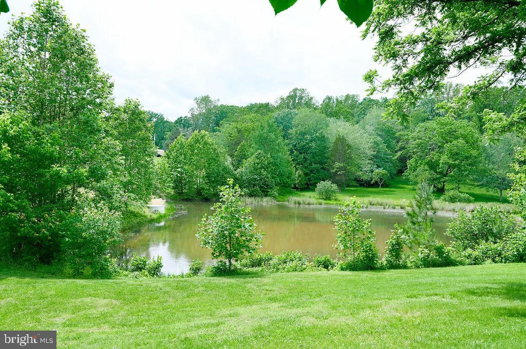 13498 CHESTERFIELD, CULPEPER, Virginia 22701, 3 Bedrooms Bedrooms, ,2 BathroomsBathrooms,Residential,For sale,13498 CHESTERFIELD,VACU2010682 MLS # VACU2010682