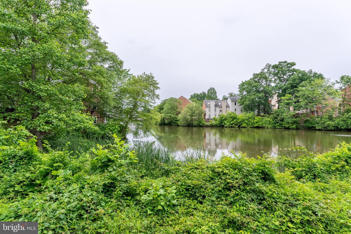 7596-N LAKESIDE VILLAGE DR, FALLS CHURCH, Virginia 22042, 1 Bedroom Bedrooms, ,1 BathroomBathrooms,Residential,For sale,7596-N LAKESIDE VILLAGE DR,VAFX2243046 MLS # VAFX2243046