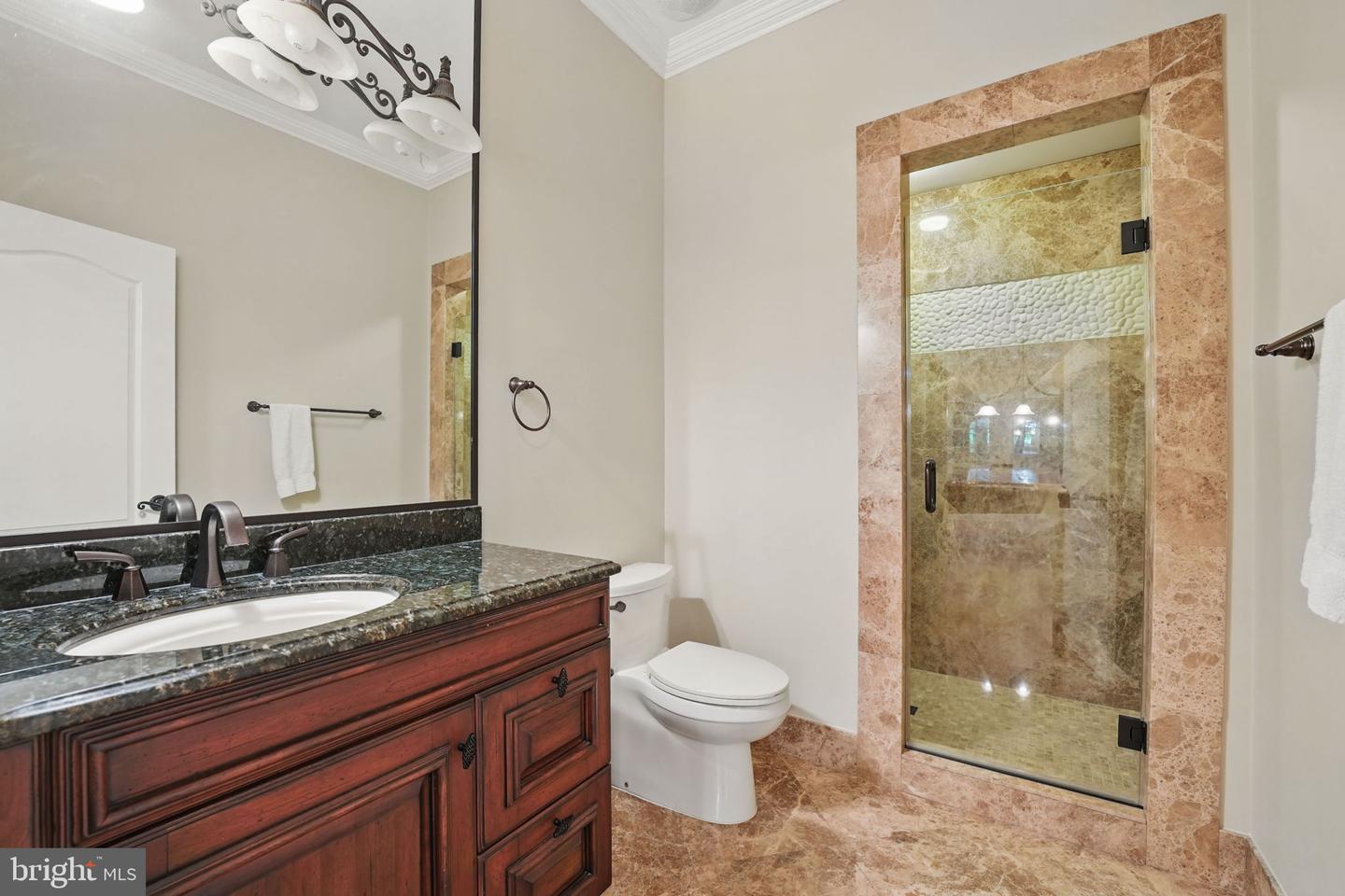 2555 VALE RIDGE CT, OAKTON, Virginia 22124, 5 Bedrooms Bedrooms, ,7 BathroomsBathrooms,Residential,For sale,2555 VALE RIDGE CT,VAFX2243554 MLS # VAFX2243554
