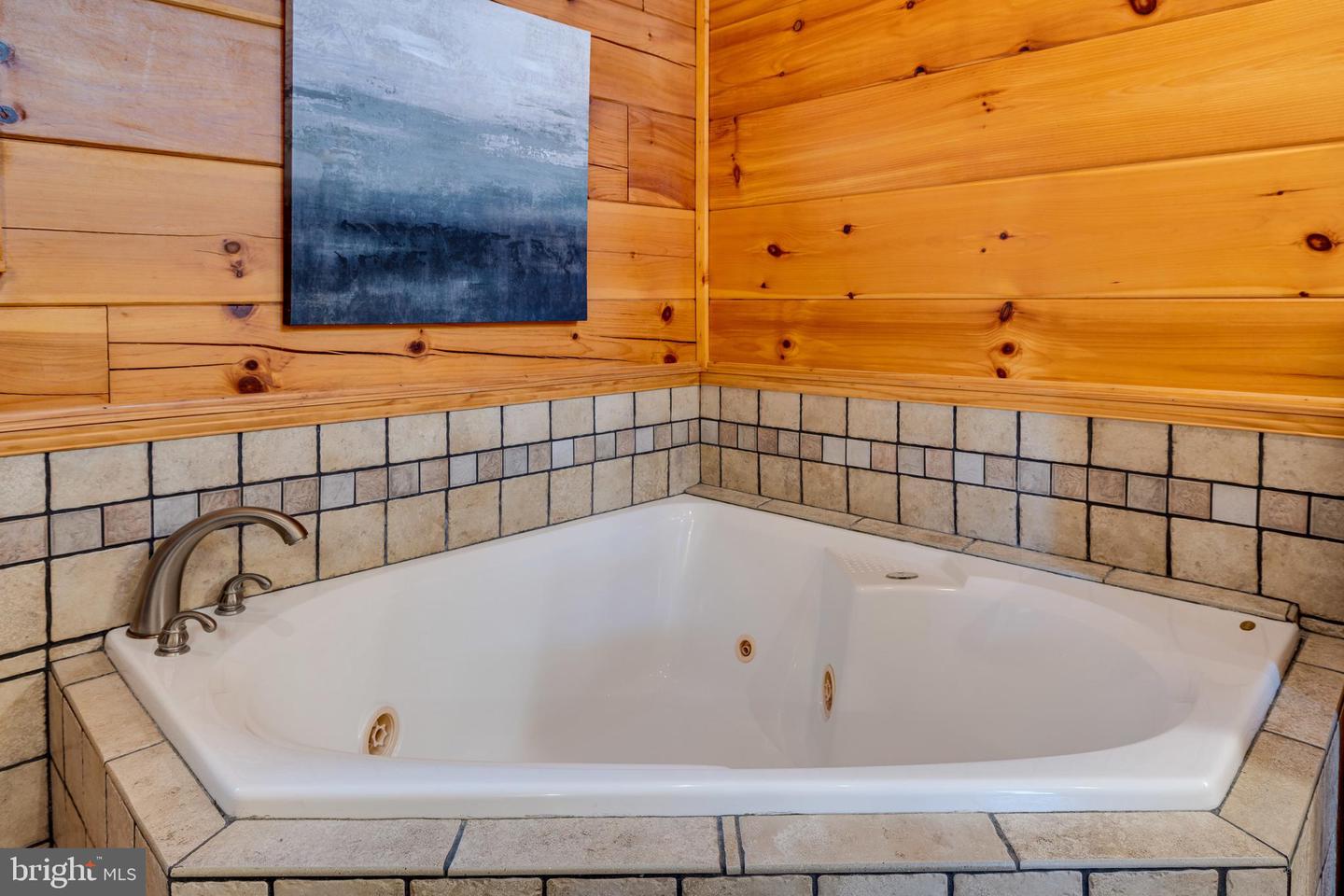 225 LOG HOME PL, STANLEY, Virginia 22851, 5 Bedrooms Bedrooms, ,3 BathroomsBathrooms,Residential,For sale,225 LOG HOME PL,VAPA2004960 MLS # VAPA2004960