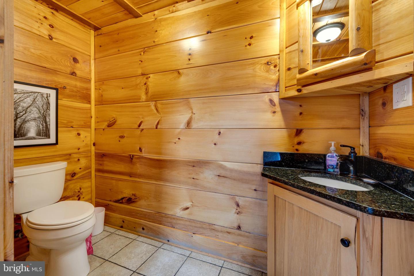 225 LOG HOME PL, STANLEY, Virginia 22851, 5 Bedrooms Bedrooms, ,3 BathroomsBathrooms,Residential,For sale,225 LOG HOME PL,VAPA2004960 MLS # VAPA2004960
