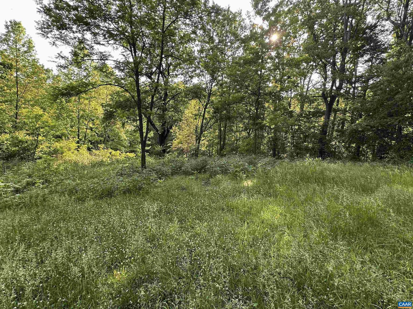 2598 MEADOW CREEK RD, GLADSTONE, Virginia 24553, 2 Bedrooms Bedrooms, ,1 BathroomBathrooms,Residential,For sale,2598 MEADOW CREEK RD,665054 MLS # 665054