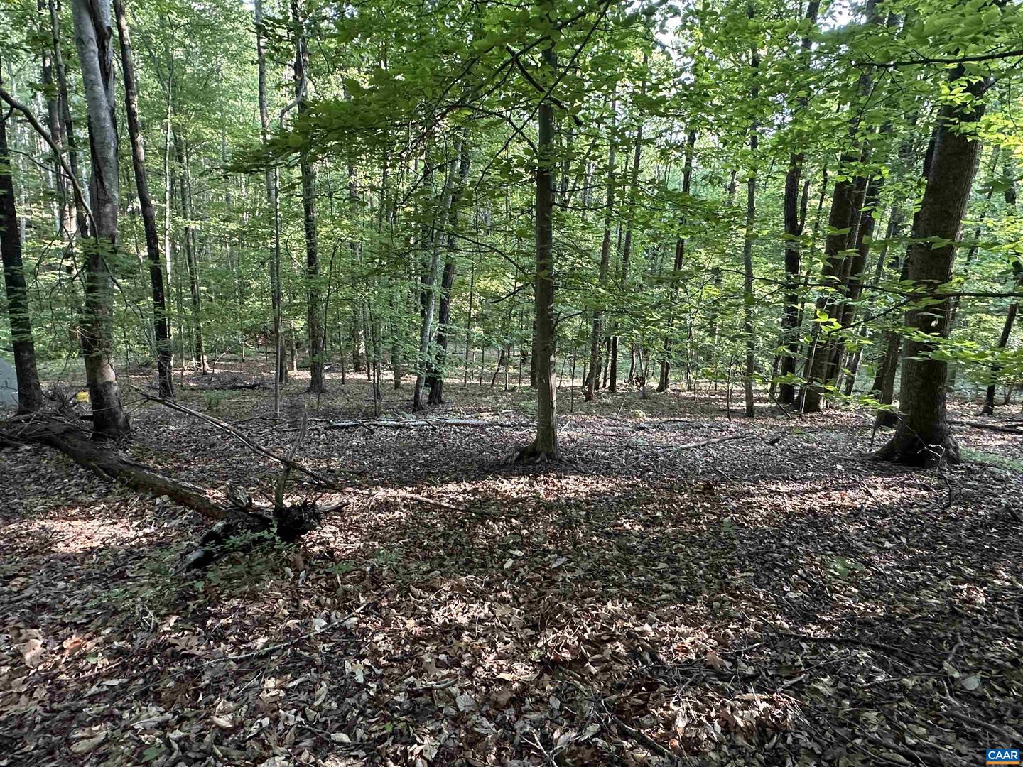 2598 MEADOW CREEK RD, GLADSTONE, Virginia 24553, 2 Bedrooms Bedrooms, ,1 BathroomBathrooms,Residential,For sale,2598 MEADOW CREEK RD,665054 MLS # 665054