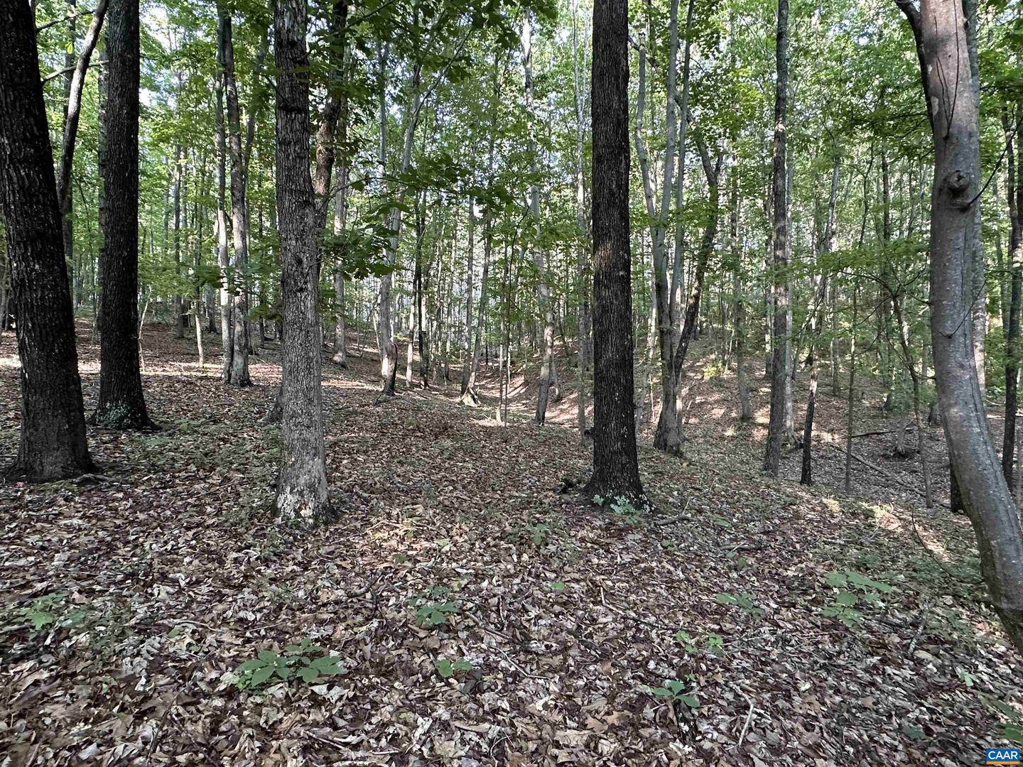 2598 MEADOW CREEK RD, GLADSTONE, Virginia 24553, 2 Bedrooms Bedrooms, ,1 BathroomBathrooms,Residential,For sale,2598 MEADOW CREEK RD,665054 MLS # 665054