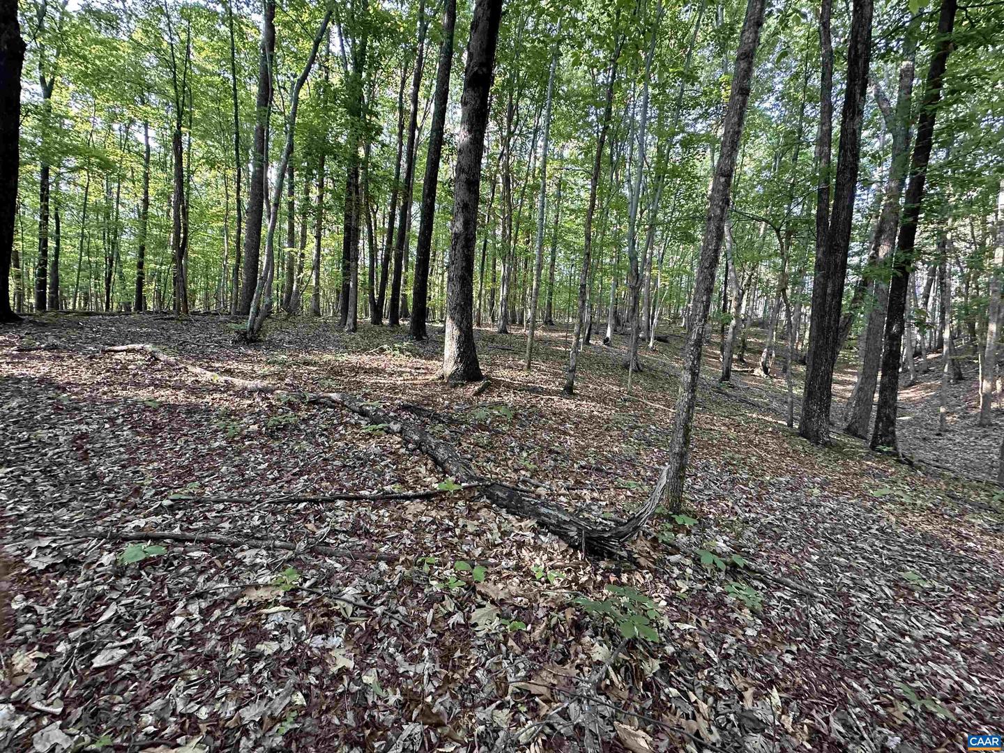 2598 MEADOW CREEK RD, GLADSTONE, Virginia 24553, 2 Bedrooms Bedrooms, ,1 BathroomBathrooms,Residential,For sale,2598 MEADOW CREEK RD,665054 MLS # 665054