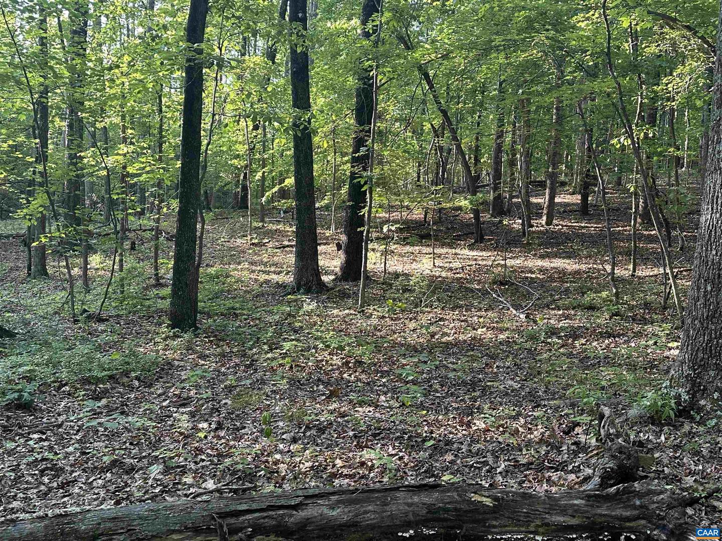 2598 MEADOW CREEK RD, GLADSTONE, Virginia 24553, 2 Bedrooms Bedrooms, ,1 BathroomBathrooms,Residential,For sale,2598 MEADOW CREEK RD,665054 MLS # 665054