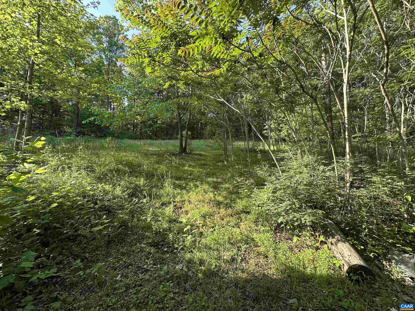 2598 MEADOW CREEK RD, GLADSTONE, Virginia 24553, 2 Bedrooms Bedrooms, ,1 BathroomBathrooms,Residential,For sale,2598 MEADOW CREEK RD,665054 MLS # 665054