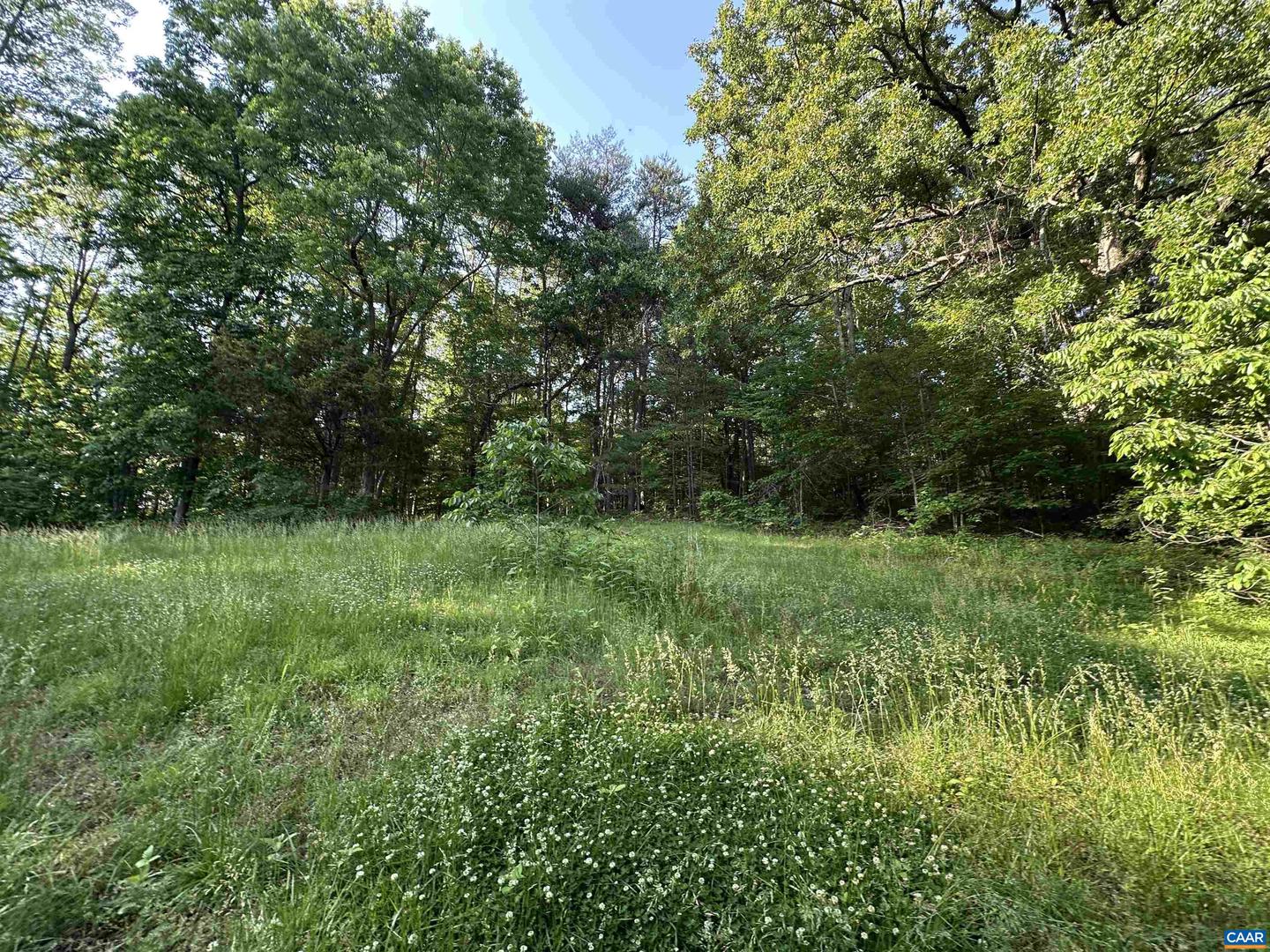 2598 MEADOW CREEK RD, GLADSTONE, Virginia 24553, 2 Bedrooms Bedrooms, ,1 BathroomBathrooms,Residential,For sale,2598 MEADOW CREEK RD,665054 MLS # 665054