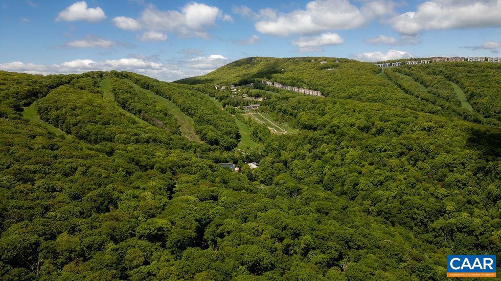 98 PEDLARS PT, ROSELAND, Virginia 22967, 4 Bedrooms Bedrooms, ,3 BathroomsBathrooms,Residential,For sale,98 PEDLARS PT,665061 MLS # 665061
