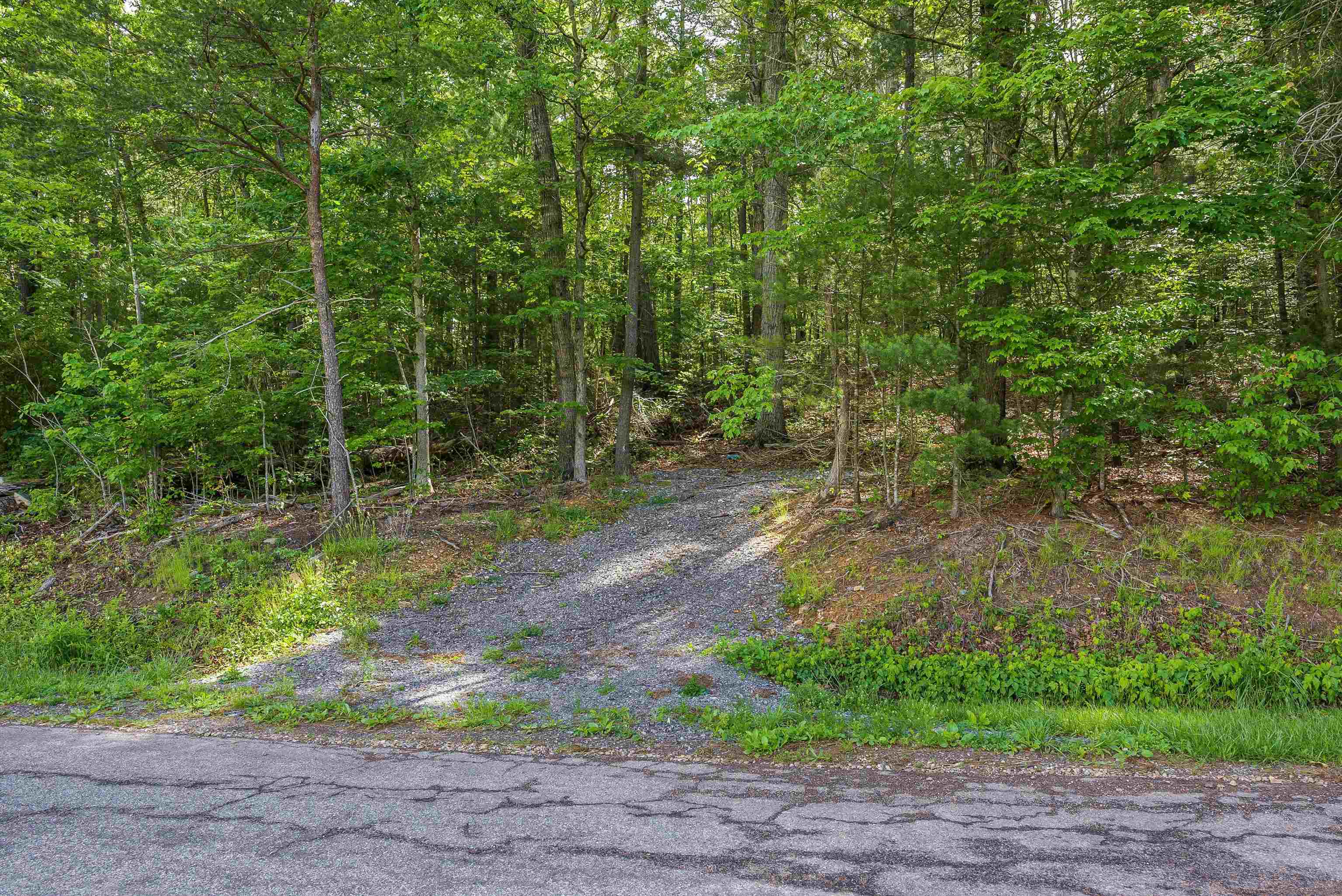 TBD lot 2 MILL LN, ELKTON, Virginia 22827, ,Land,TBD lot 2 MILL LN,665101 MLS # 665101