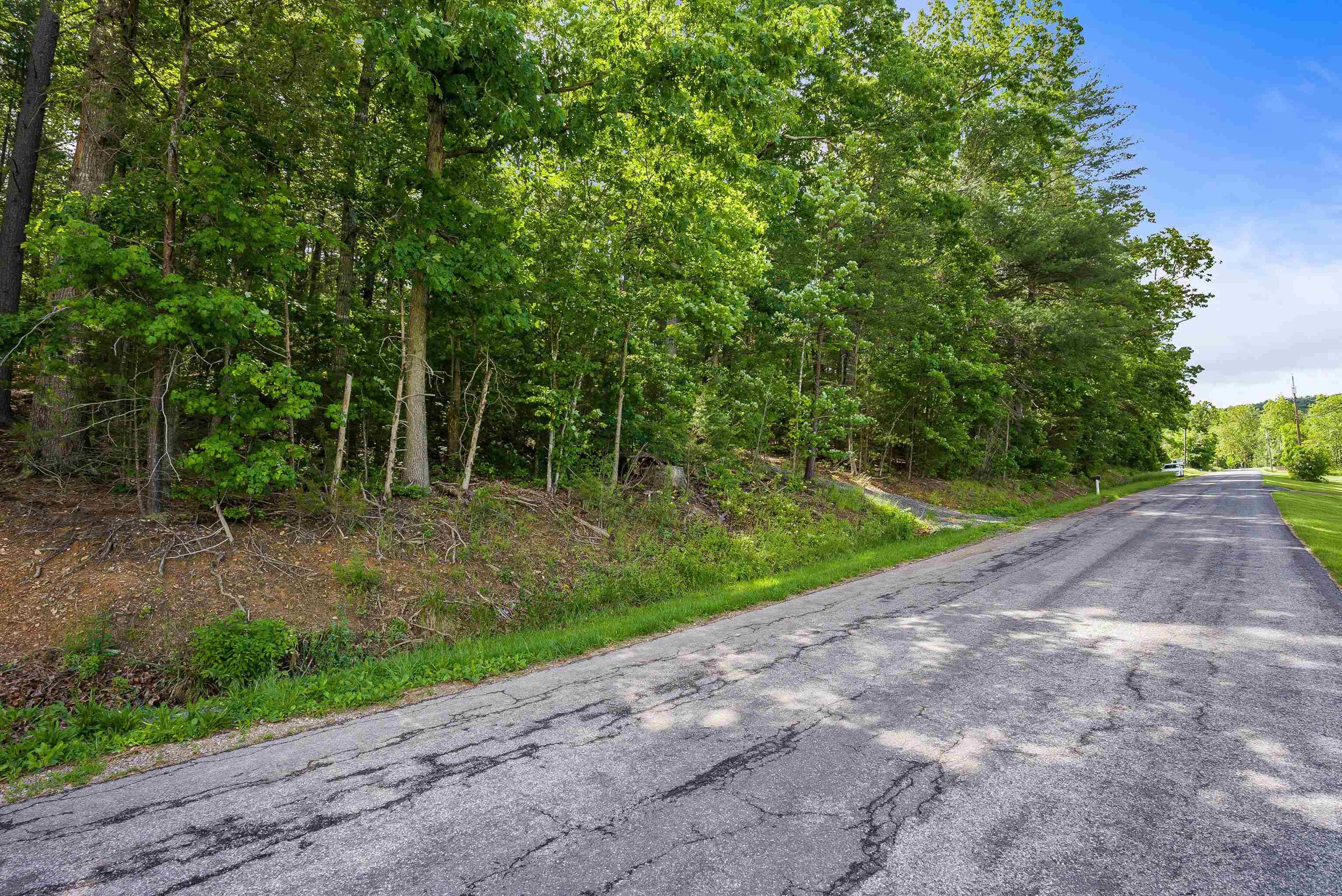 TBD lot 2 MILL LN, ELKTON, Virginia 22827, ,Land,TBD lot 2 MILL LN,665101 MLS # 665101