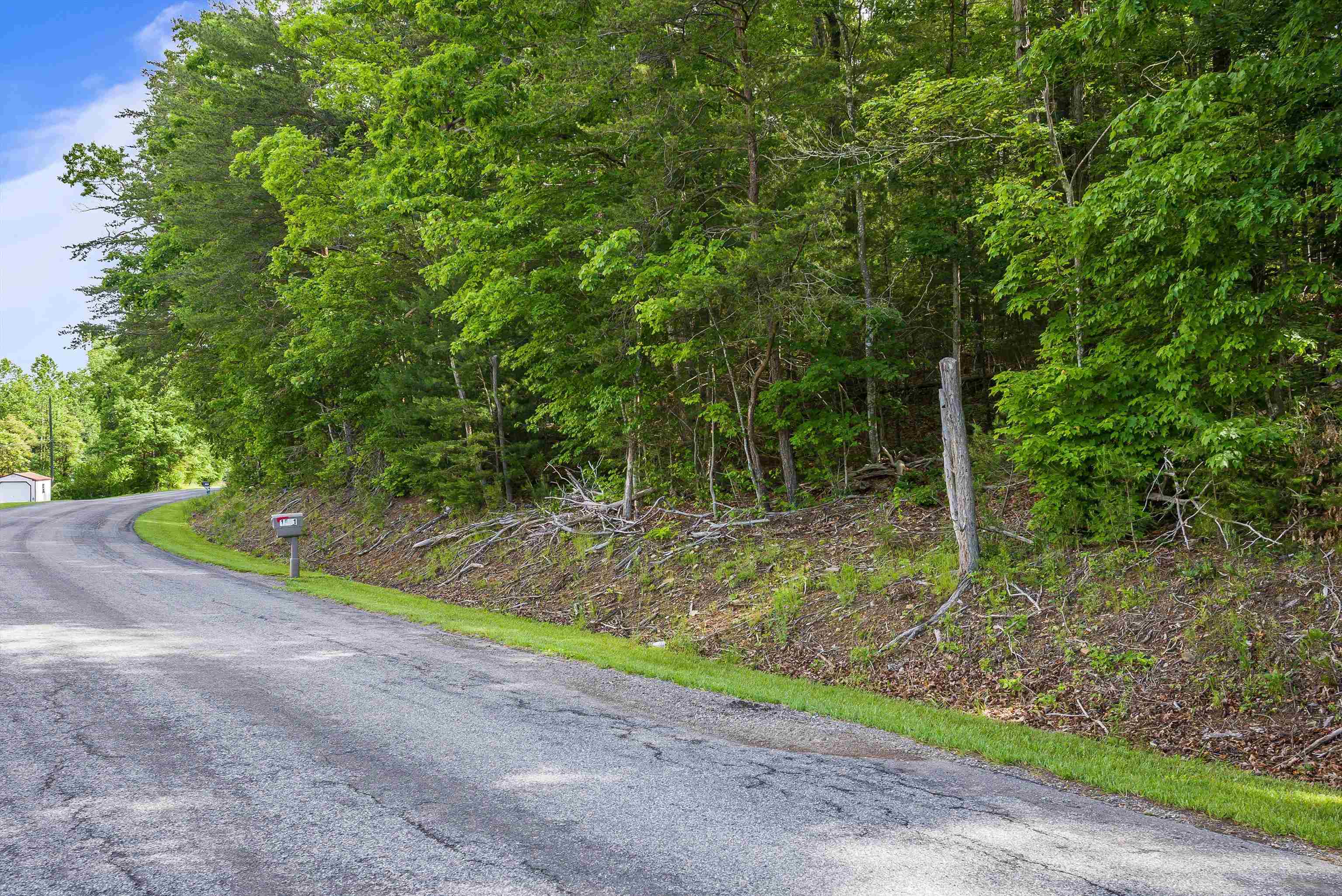 TBD lot 2 MILL LN, ELKTON, Virginia 22827, ,Land,TBD lot 2 MILL LN,665101 MLS # 665101