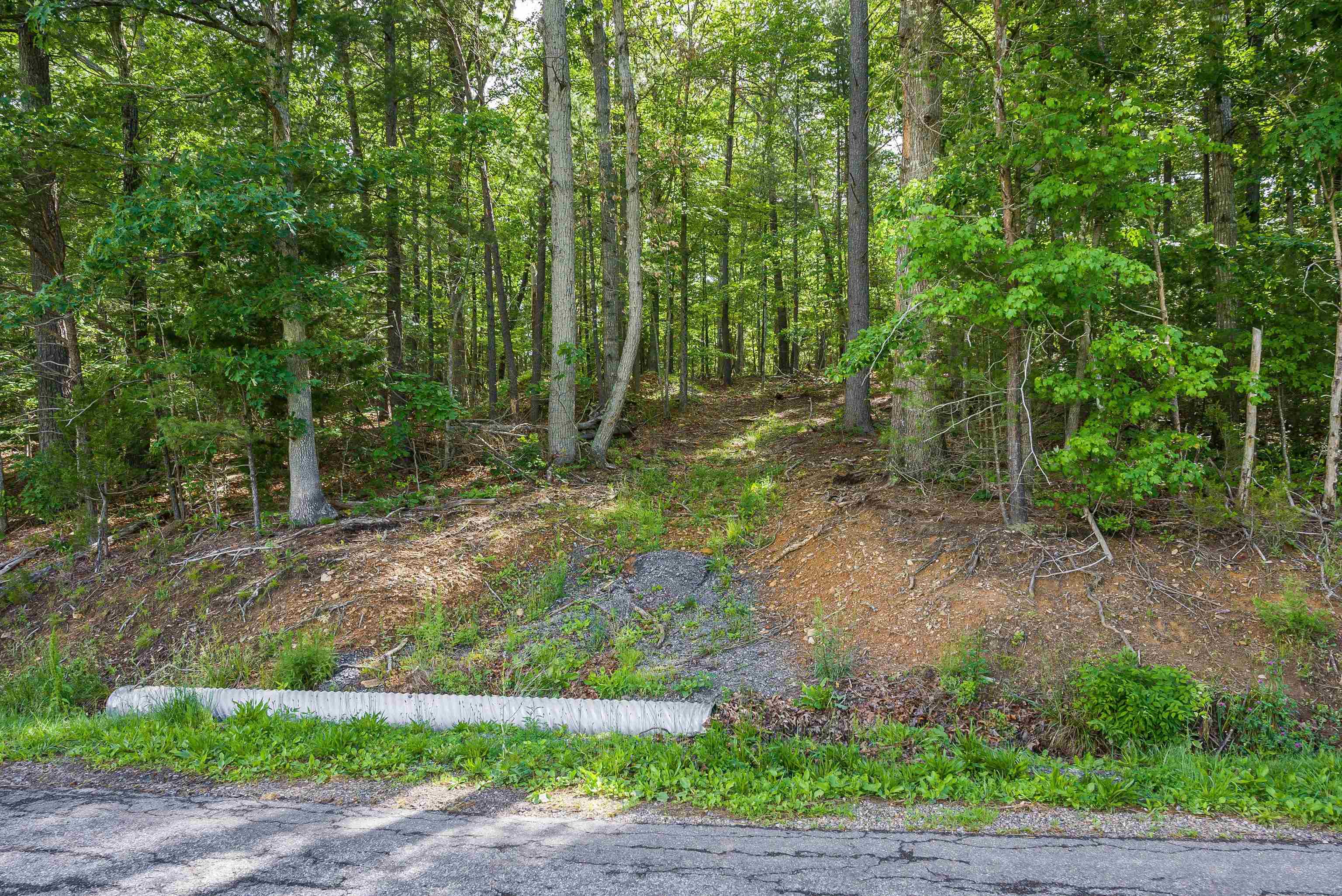 TBD lot 1 MILL LN, ELKTON, Virginia 22827, ,Land,TBD lot 1 MILL LN,665102 MLS # 665102