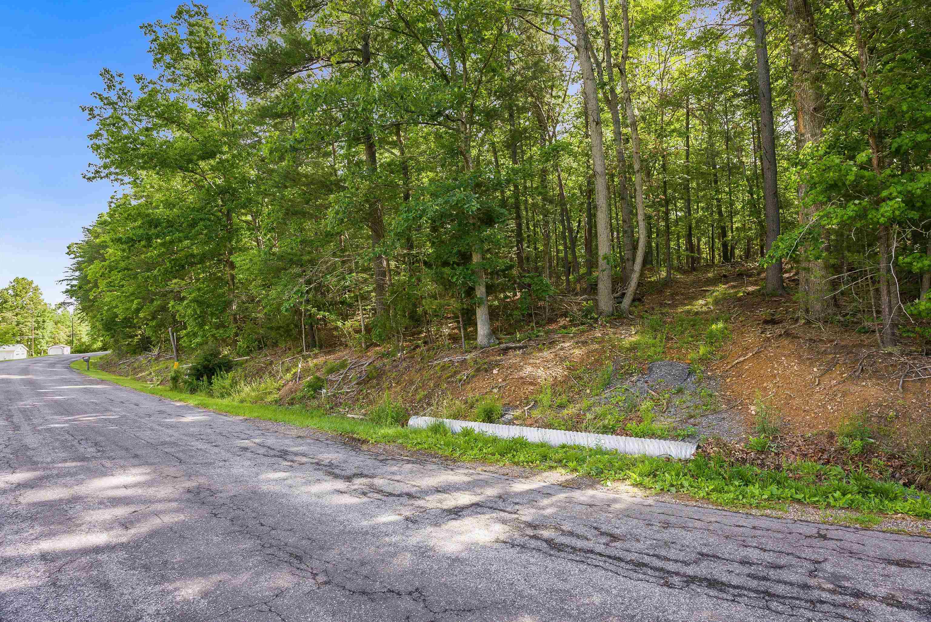 TBD lot 1 MILL LN, ELKTON, Virginia 22827, ,Land,TBD lot 1 MILL LN,665102 MLS # 665102