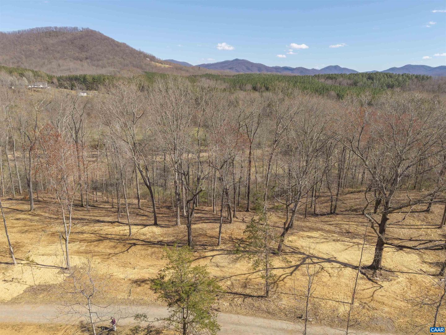 LOT 5 ROCKFISH VALLEY HWY #5, AFTON, Virginia 22920, ,Land,For sale,LOT 5 ROCKFISH VALLEY HWY #5,664784 MLS # 664784