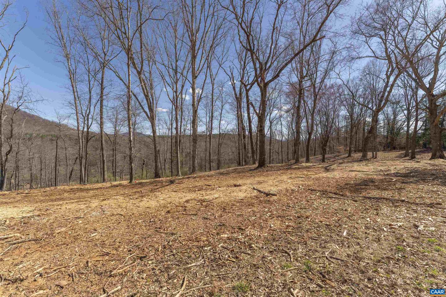 LOT 5 ROCKFISH VALLEY HWY #5, AFTON, Virginia 22920, ,Land,For sale,LOT 5 ROCKFISH VALLEY HWY #5,664784 MLS # 664784