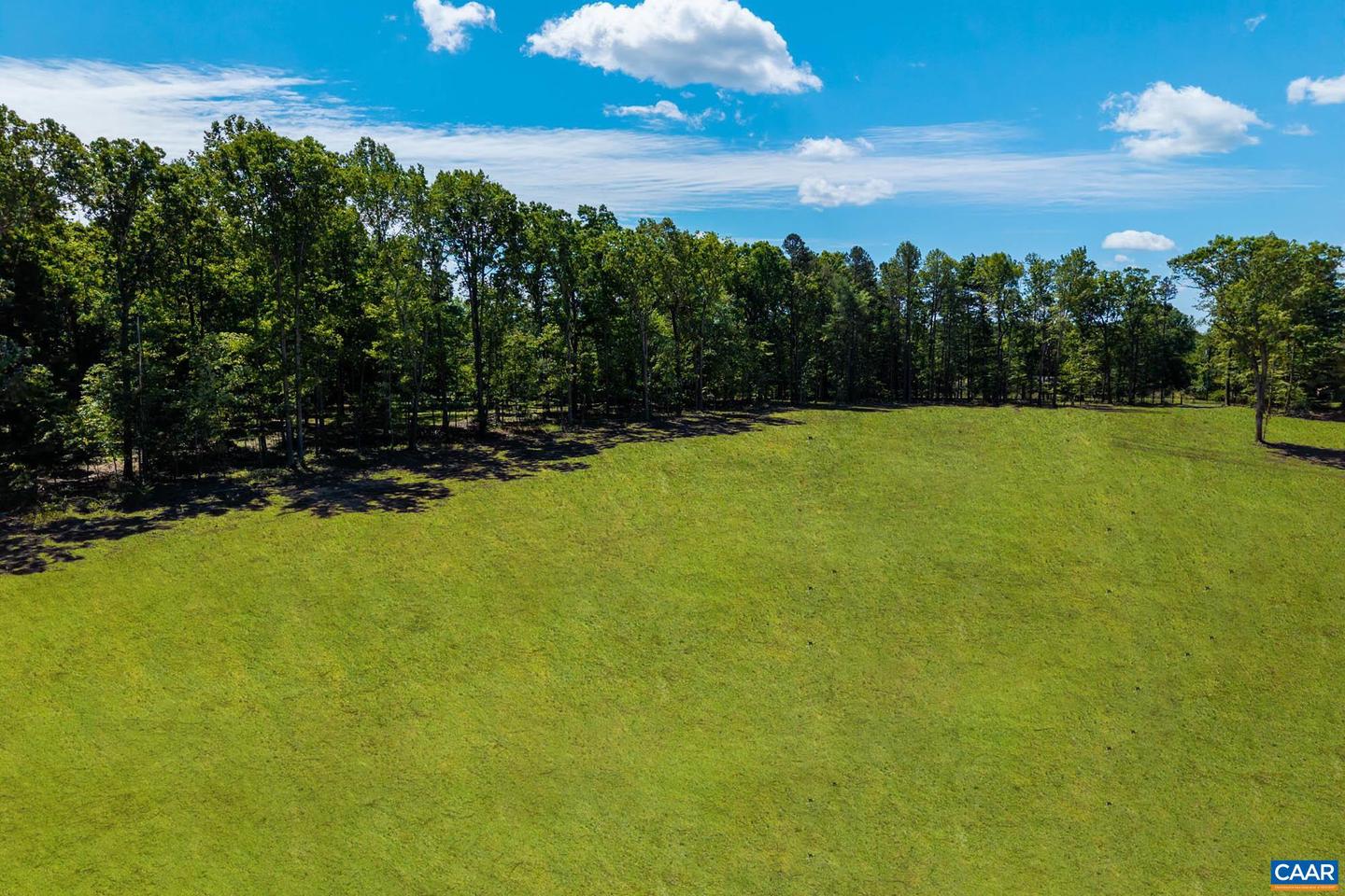 0 WESLEY CHAPEL RD, FREE UNION, Virginia 22940, ,Land,For sale,0 WESLEY CHAPEL RD,665078 MLS # 665078