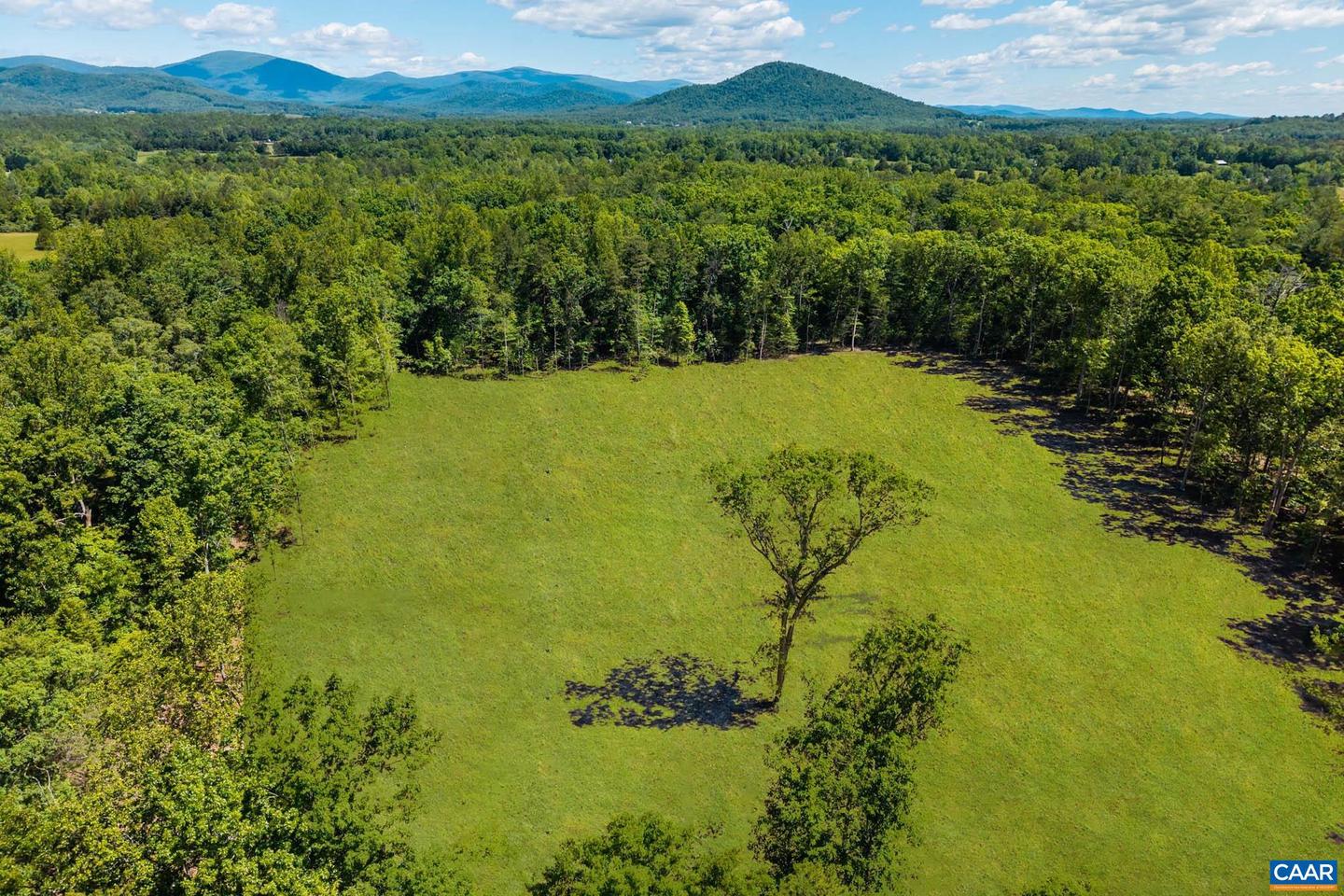0A WESLEY CHAPEL RD #LOT#003C0, FREE UNION, Virginia 22940, ,Land,For sale,0A WESLEY CHAPEL RD #LOT#003C0,665079 MLS # 665079