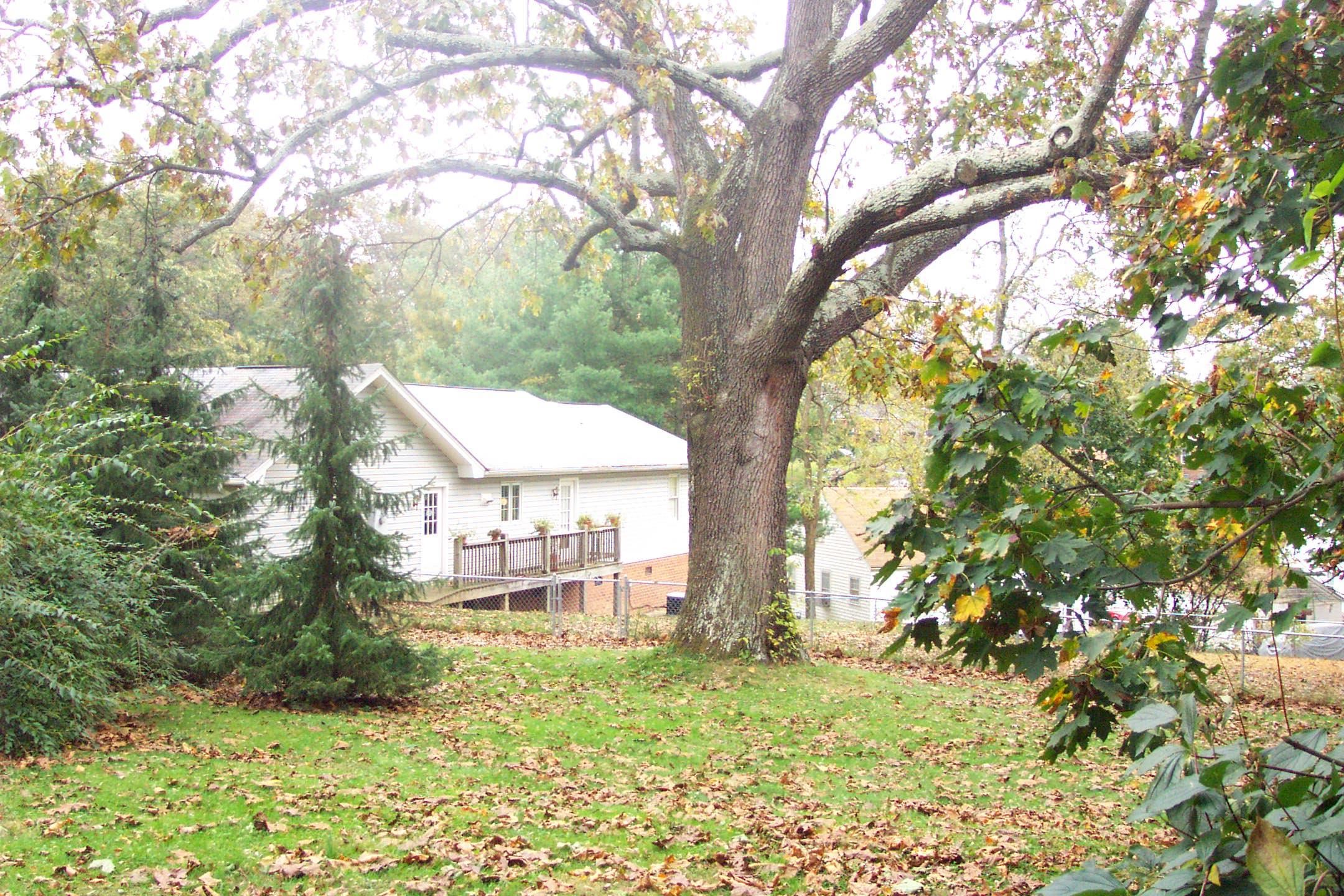How back yard used to look