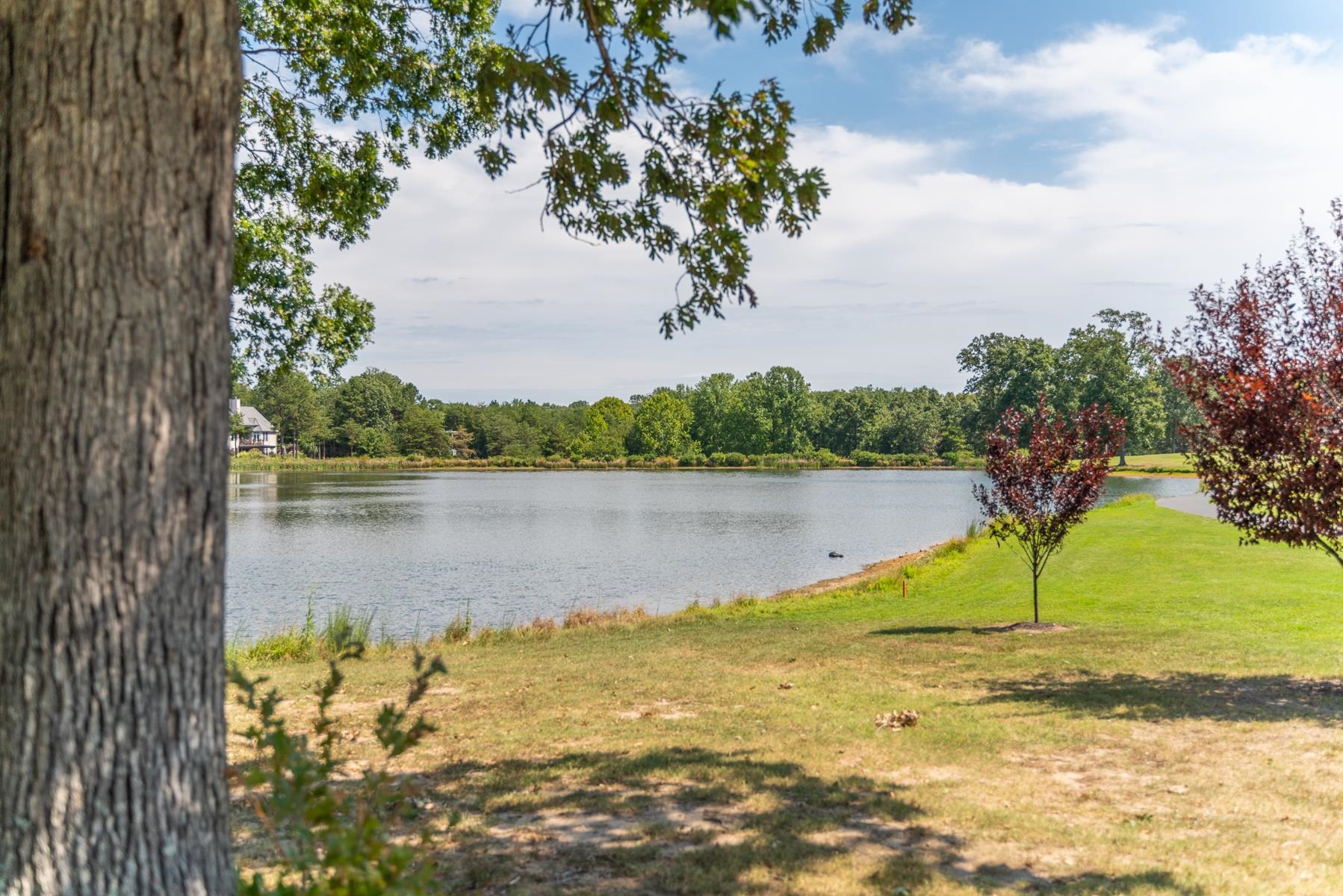 10 ZEPHYR RD, PALMYRA, Virginia 22963, 3 Bedrooms Bedrooms, ,2 BathroomsBathrooms,Residential,10 ZEPHYR RD,665097 MLS # 665097