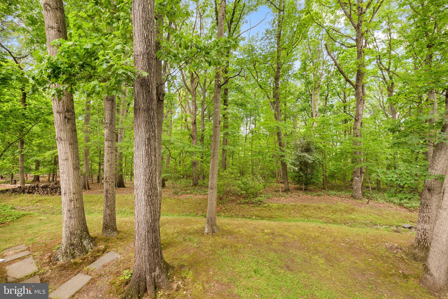 1517 SNUGHILL CT, VIENNA, Virginia 22182, 5 Bedrooms Bedrooms, ,3 BathroomsBathrooms,Residential,For sale,1517 SNUGHILL CT,VAFX2235284 MLS # VAFX2235284