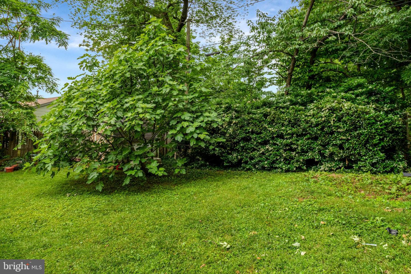 4817 20TH ST N, ARLINGTON, Virginia 22207, 3 Bedrooms Bedrooms, ,2 BathroomsBathrooms,Residential,For sale,4817 20TH ST N,VAAR2057138 MLS # VAAR2057138