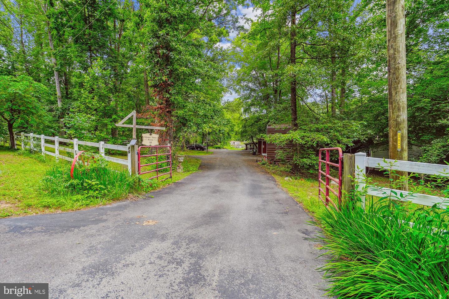 46 MISTY LN, STAFFORD, Virginia 22556, 4 Bedrooms Bedrooms, ,3 BathroomsBathrooms,Residential,For sale,46 MISTY LN,VAST2039116 MLS # VAST2039116