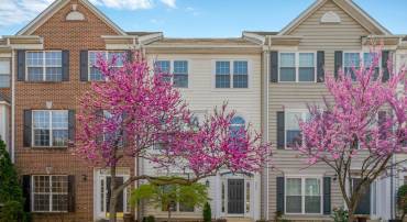 3804 DOMINION MILL DR, ALEXANDRIA, Virginia 22304, 3 Bedrooms Bedrooms, ,3 BathroomsBathrooms,Residential,For sale,3804 DOMINION MILL DR,VAAX2043894 MLS # VAAX2043894