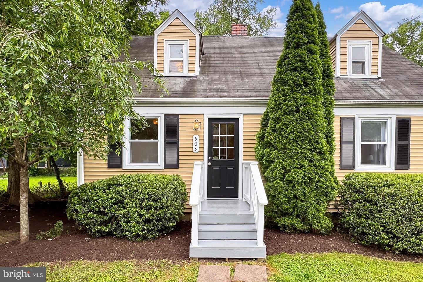 503 RANDOLPH ST, FALLS CHURCH, Virginia 22046, 4 Bedrooms Bedrooms, ,2 BathroomsBathrooms,Residential,For sale,503 RANDOLPH ST,VAFA2003000 MLS # VAFA2003000