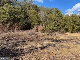 TBD FORT VALLEY RD, FORT VALLEY, Virginia 22652, ,Land,For sale,TBD FORT VALLEY RD,VASH2010766 MLS # VASH2010766