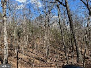 TBD FORT VALLEY RD, FORT VALLEY, Virginia 22652, ,Land,For sale,TBD FORT VALLEY RD,VASH2010766 MLS # VASH2010766