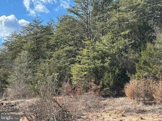 TBD FORT VALLEY RD, FORT VALLEY, Virginia 22652, ,Land,For sale,TBD FORT VALLEY RD,VASH2010766 MLS # VASH2010766