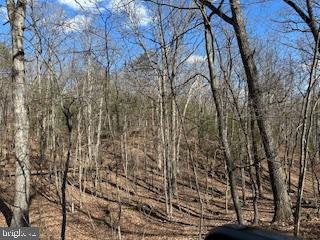 TBD FORT VALLEY RD, FORT VALLEY, Virginia 22652, ,Land,For sale,TBD FORT VALLEY RD,VASH2010766 MLS # VASH2010766