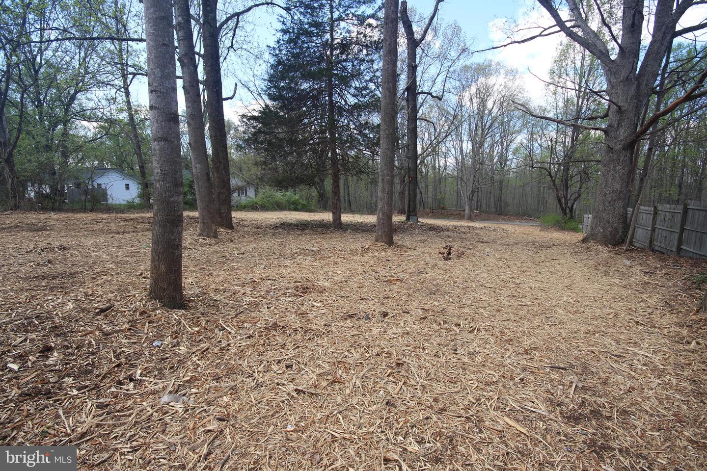 12154 CHERRY HILL, CULPEPER, Virginia 22701, ,Land,For sale,12154 CHERRY HILL,VACU2010014 MLS # VACU2010014