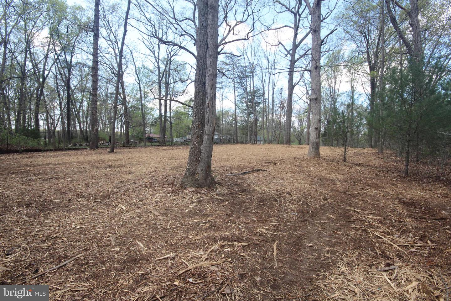12154 CHERRY HILL, CULPEPER, Virginia 22701, ,Land,For sale,12154 CHERRY HILL,VACU2010014 MLS # VACU2010014