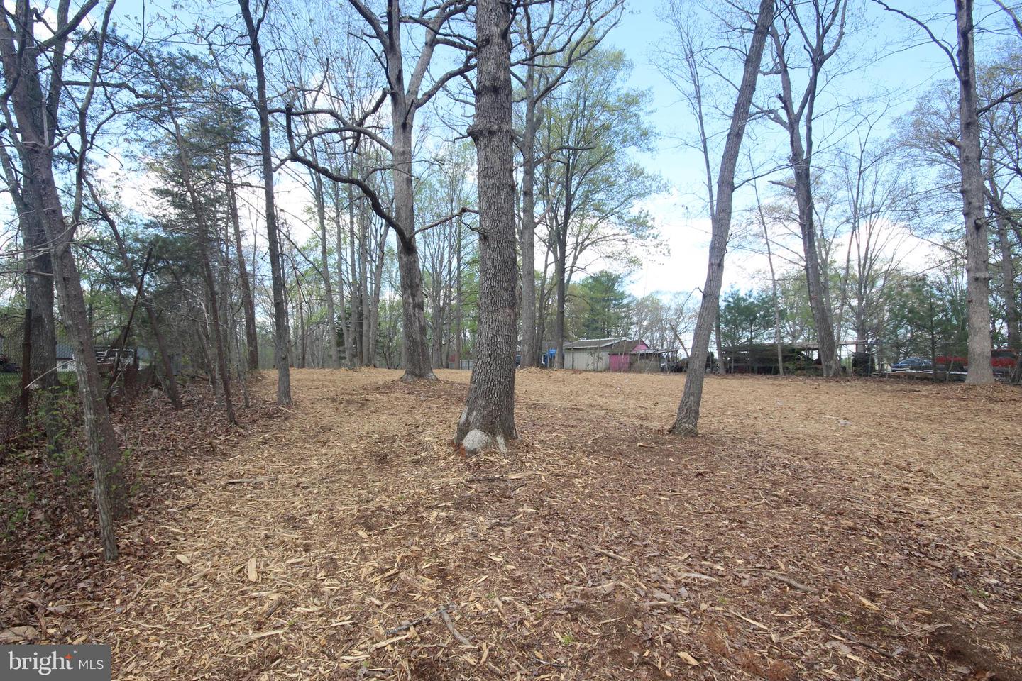 12154 CHERRY HILL, CULPEPER, Virginia 22701, ,Land,For sale,12154 CHERRY HILL,VACU2010014 MLS # VACU2010014