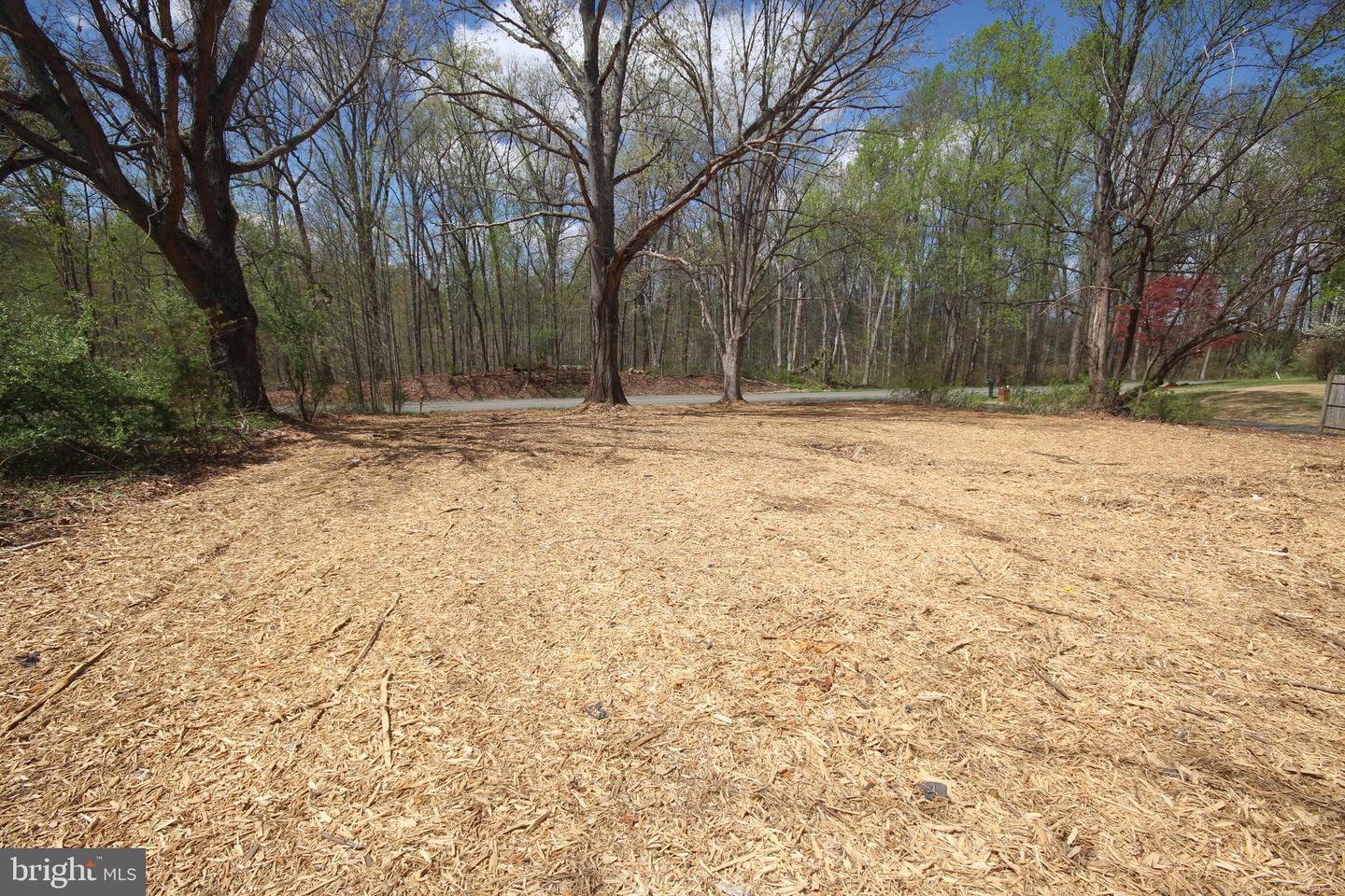 12154 CHERRY HILL, CULPEPER, Virginia 22701, ,Land,For sale,12154 CHERRY HILL,VACU2010014 MLS # VACU2010014