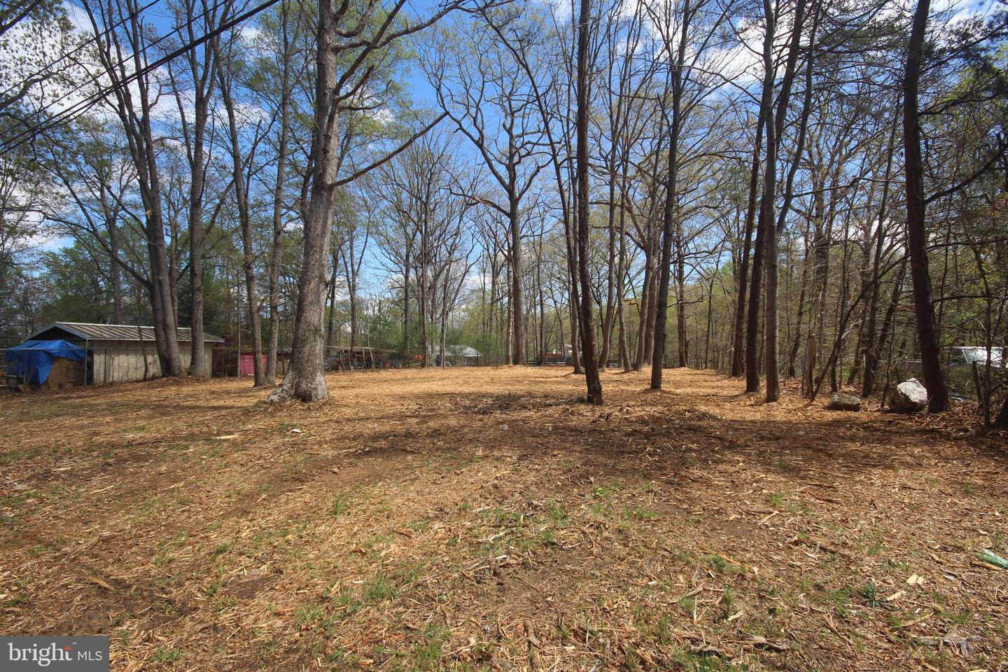 12154 CHERRY HILL, CULPEPER, Virginia 22701, ,Land,For sale,12154 CHERRY HILL,VACU2010014 MLS # VACU2010014