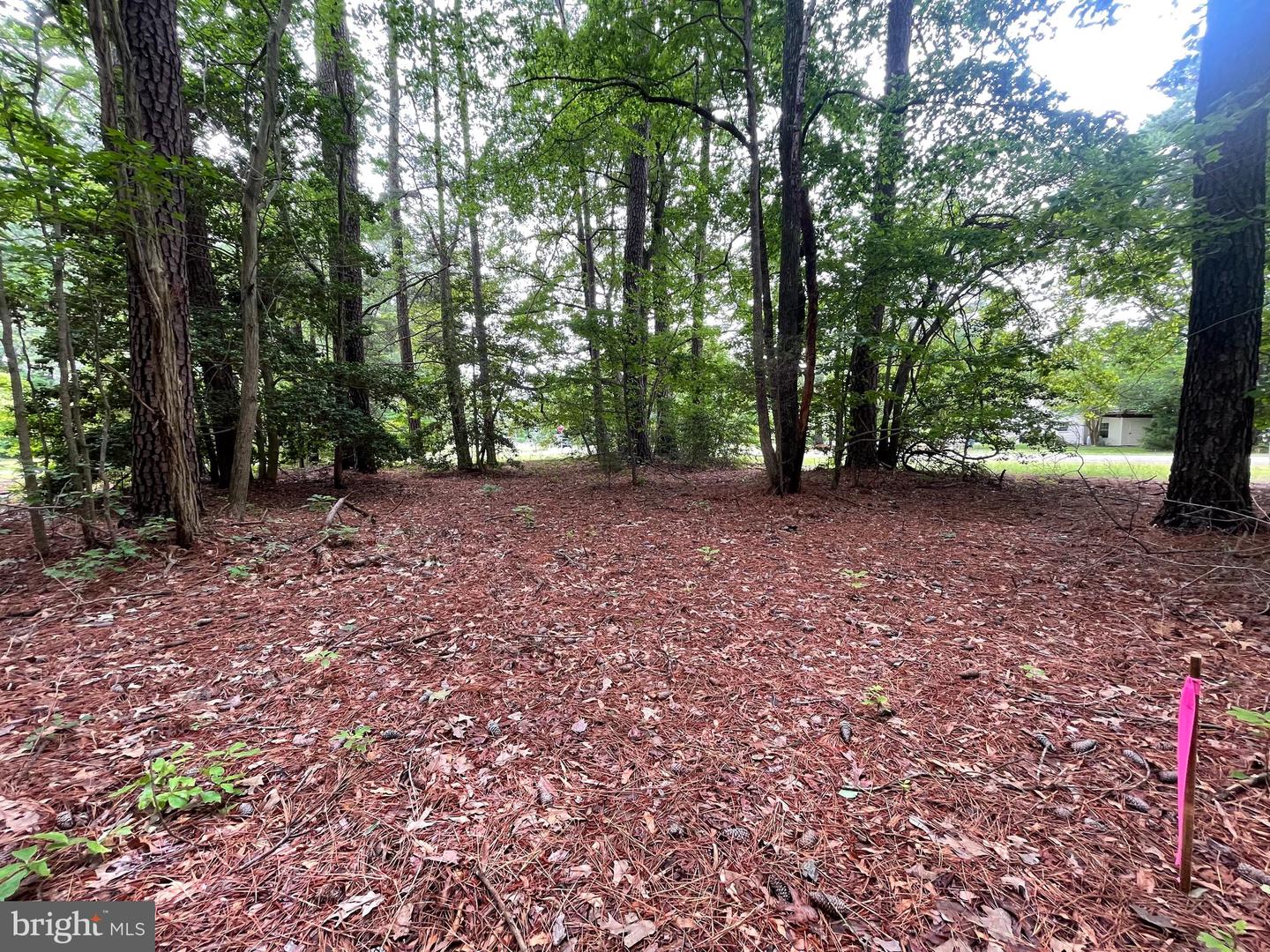 LOT 45 SHIPS ROW & STERN WAY, MONTROSS, Virginia 22520, ,Land,For sale,LOT 45 SHIPS ROW & STERN WAY,VAWE2009004 MLS # VAWE2009004