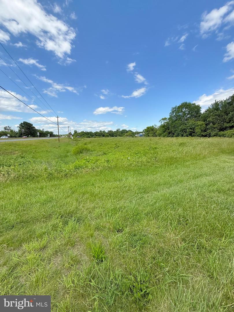 RT. 17 AND INGLEWOOD FARM LANE, BEALETON, Virginia 22712, ,Land,For sale,RT. 17 AND INGLEWOOD FARM LANE,VAFQ2016840 MLS # VAFQ2016840