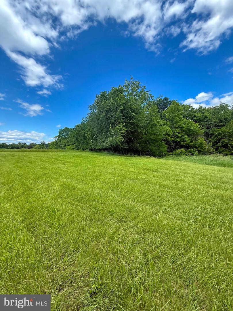 RT. 17 AND INGLEWOOD FARM LANE, BEALETON, Virginia 22712, ,Land,For sale,RT. 17 AND INGLEWOOD FARM LANE,VAFQ2016840 MLS # VAFQ2016840
