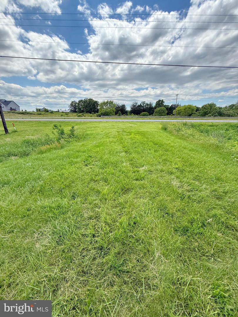 RT. 17 AND INGLEWOOD FARM LANE, BEALETON, Virginia 22712, ,Land,For sale,RT. 17 AND INGLEWOOD FARM LANE,VAFQ2016840 MLS # VAFQ2016840