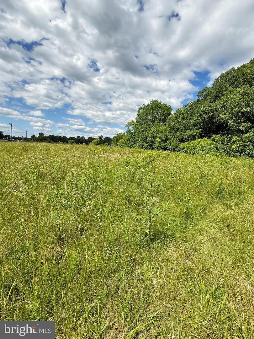 RT. 17 AND INGLEWOOD FARM LANE, BEALETON, Virginia 22712, ,Land,For sale,RT. 17 AND INGLEWOOD FARM LANE,VAFQ2016840 MLS # VAFQ2016840